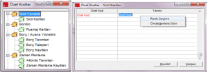 3-2-300x231 Bordro'da Özel kod Uygulaması